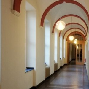 Prosecution Impulse Responses - Image 4