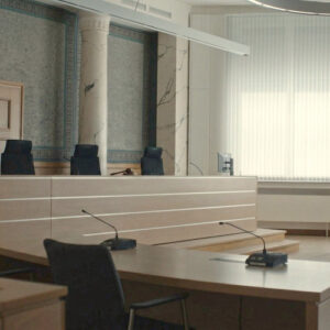 Prosecution Impulse Responses - Image 7