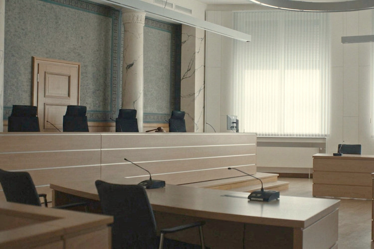 Prosecution Impulse Responses